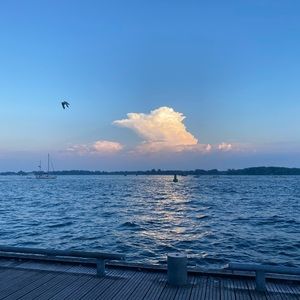 Meet your Posher, Sharon